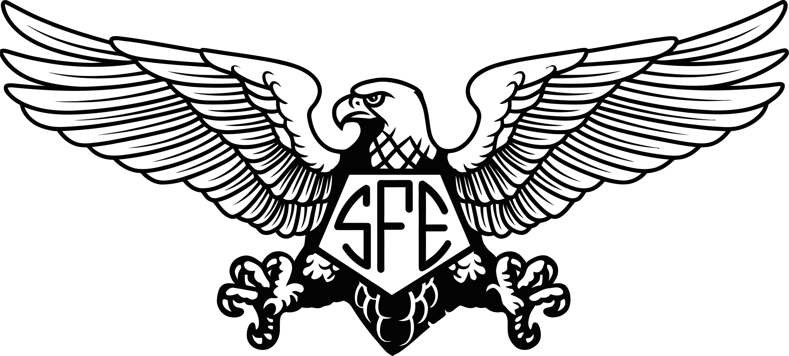 Shaheen Filters Logo